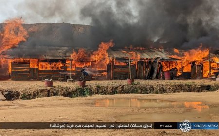 Ituri : le gouvernement condamne l'attaque terroriste contre des sites d'exploitation  minière à Mutchatcha