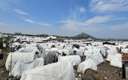 Ituri : plusieurs habitants fuient la barbarie d’un groupe armé à Mambasa