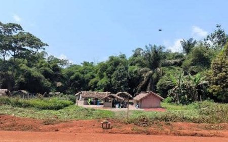 Ituri : une nouvelle attaque ADF à Babesua plonge la population dans la psychose