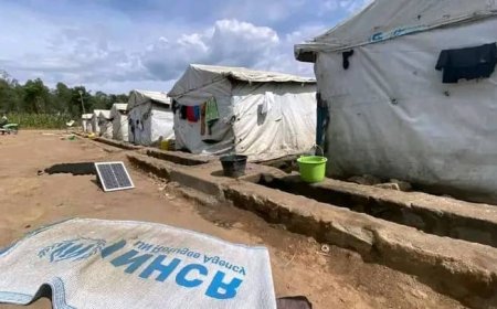 Bunia : plusieurs adolescentes déplacées survivent du sexe suite à la détresse