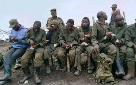 Ituri : 4 ans après le P-DDRCS, des ex combattants se sont livrés eux-mêmes à Babila Babombi