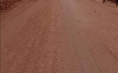 Ituri : la route Kamaka-Nzinzi renaît de ses cendres après 40 ans d'oubli