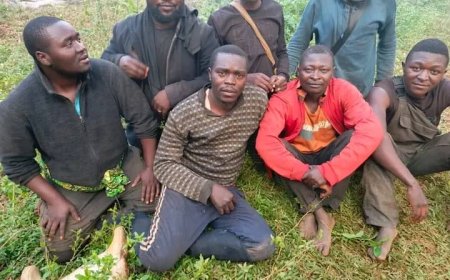 Ituri : des motards libérés après une ambuscade présumée des ADF à Mambasa