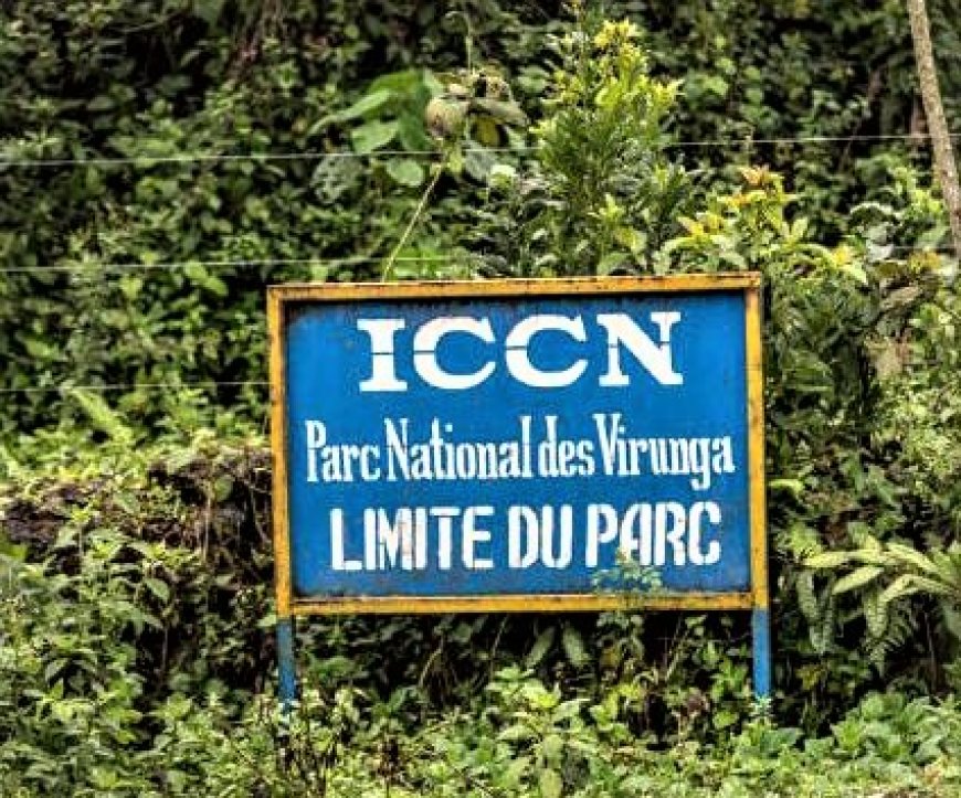 Nord-Kivu : 3 morts lors d'une attaque armée contre l'ICCN de Virunga