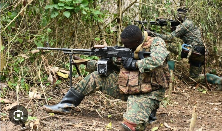 Ituri : l'étau se resserre autour des ADF dans le territoire de Mambasa