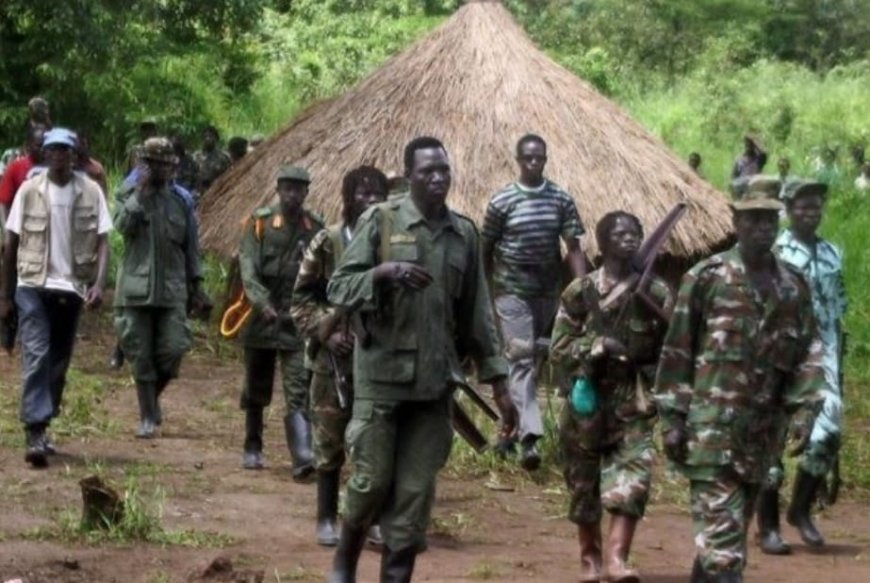 Ituri : la milice CODECO accentue la pression sur la population à Mahagi