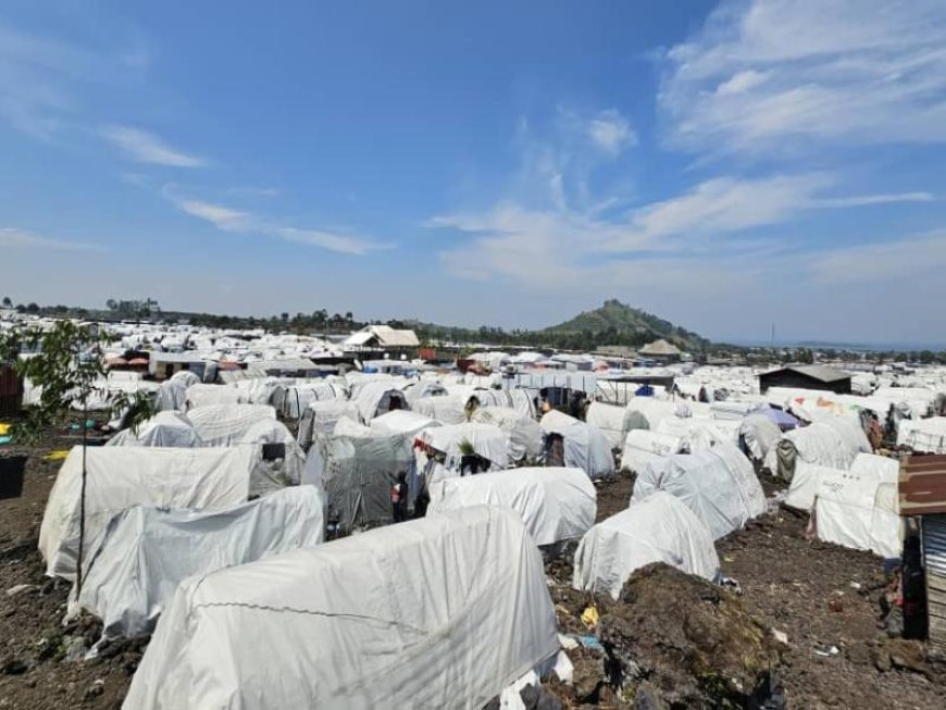 Ituri : plusieurs habitants fuient la barbarie d’un groupe armé à Mambasa