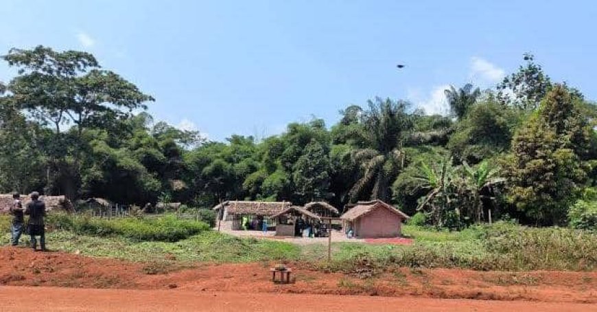 Ituri : une nouvelle attaque ADF à Babesua plonge la population dans la psychose