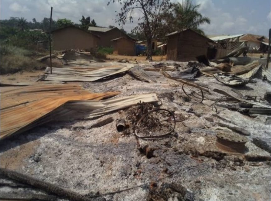 Ituri : l'ombre des ADF paralyse Mambasa et coupe le souffle à la RN4