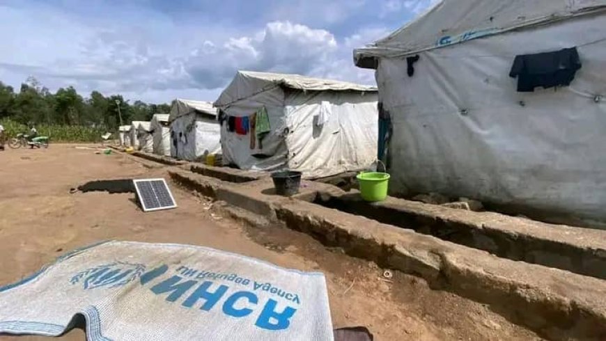 Bunia : plusieurs adolescentes déplacées survivent du sexe suite à la détresse