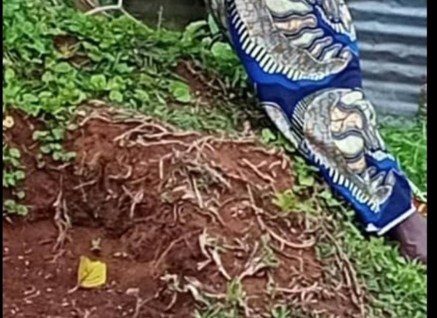 Nord-Kivu : une femme de 3e âge retrouvée pendue au quartier Malepe à Beni