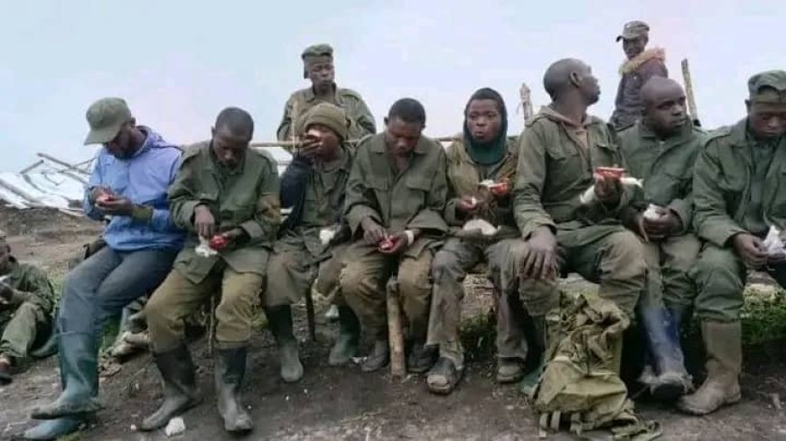 Ituri : 4 ans après le P-DDRCS, des ex combattants se sont livrés eux-mêmes à Babila Babombi