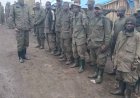 Sud-Kivu : des combattants AFC/M23 se rendent aux forces armées et rejoignent le processus de paix