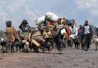 Est de la RDC : plus de 13 000 civils fuient l'escalade des combats au Sud-Kivu