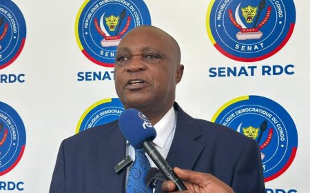 RDC : Norbert Basengezi élu 2ᵉ vice-président du Sénat avec une large majorité