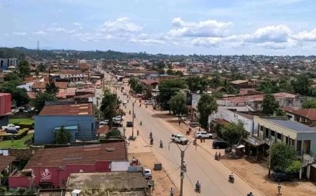 Beni : une vague de cambriolages violents sème la panique à Bungulu