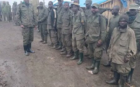 Sud-Kivu : des combattants AFC/M23 se rendent aux forces armées et rejoignent le processus de paix