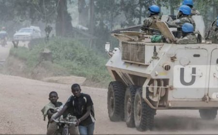 Ituri : la Monusco déploie une mission de reconnaissance à Mambasa