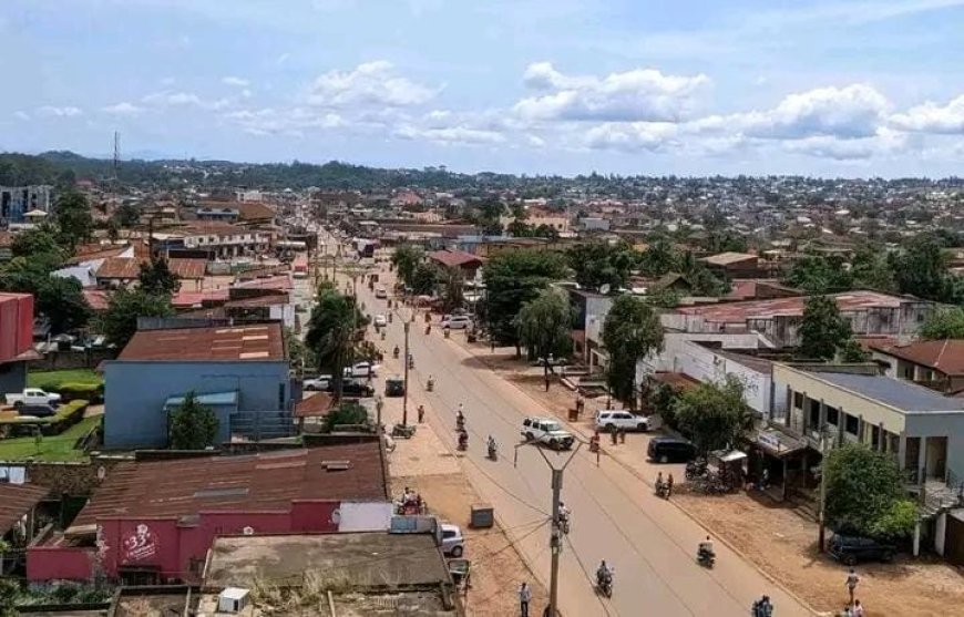 Beni : une vague de cambriolages violents sème la panique à Bungulu
