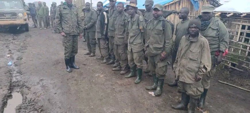 Sud-Kivu : des combattants AFC/M23 se rendent aux forces armées et rejoignent le processus de paix