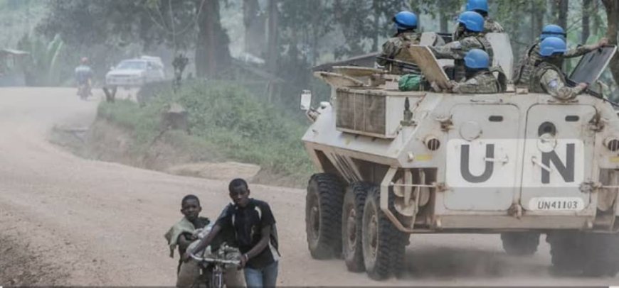 Ituri : la Monusco déploie une mission de reconnaissance à Mambasa