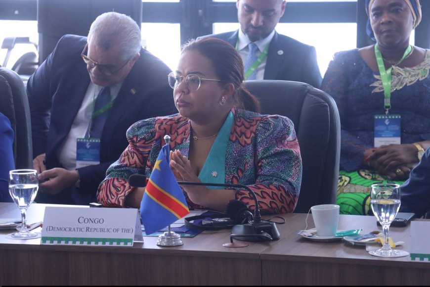 ZOPACAS : la RDC plaide pour une coopération renforcée lors de la réunion ministérielle à Rio De Janeiro