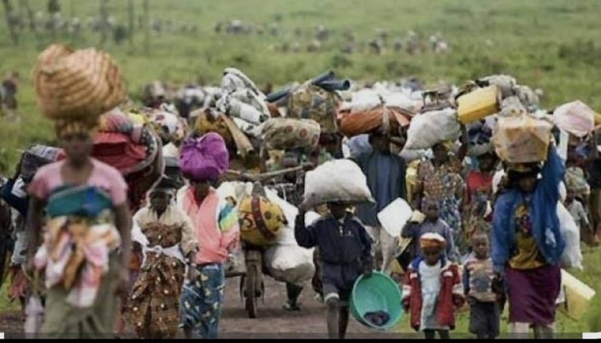 Urgence humanitaire  à Mahagi : plus de 50 000 déplacés dans la chefferie de Djukoth