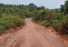 Ituri : deux nouvelles attaques meurtrières attribuées aux ADF dans la chefferie de Walese  Vonkutu
