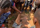 Kongo-central : meurtre d'une fillette de 3 ans après une chute dans un puits non sécurisé à Mbanza Ngungu