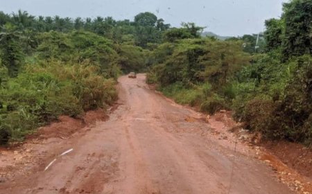 Ituri : deux nouvelles attaques meurtrières attribuées aux ADF dans la chefferie de Walese  Vonkutu