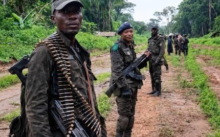 Ituri : les FARDC reprennent le contrôle de du tronçon Nduye-Dingbo  à Mambasa