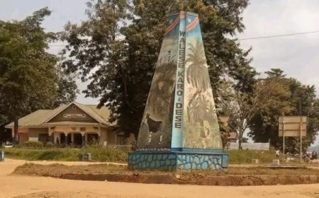 Ituri/Mambasa : l’accès aux champs désormais conditionné par des paiements imposés par les rebelles ADF
