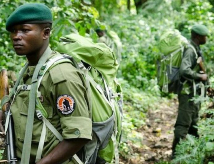 Nord-Kivu : deux écogardes tués dans une attaque armée inconnue au Parc des Virunga