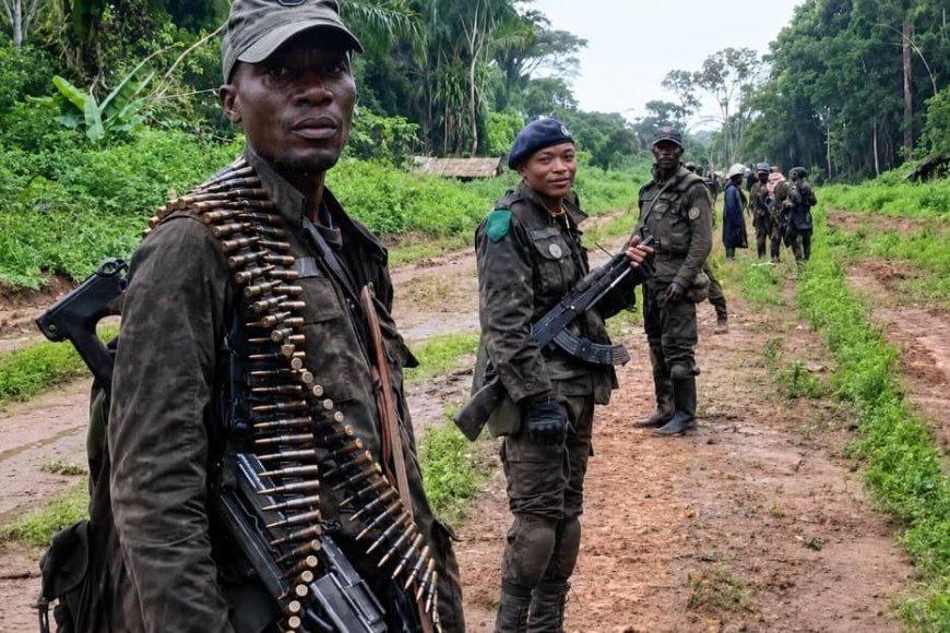 Ituri : les FARDC reprennent le contrôle de du tronçon Nduye-Dingbo  à Mambasa