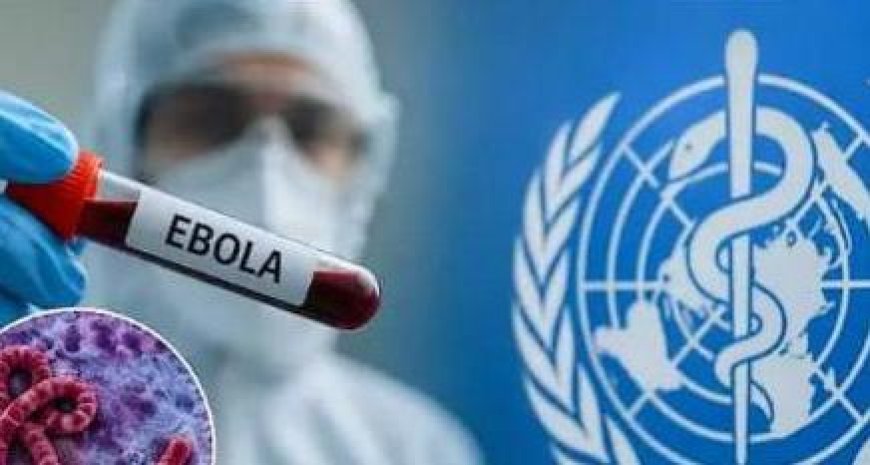 Ebola en Ituri : un premier patient guéri quitte le centre de traitement à Bunia