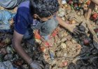 Urgence sanitaire mondiale : l’OMS alerte sur le fléau silencieux des aliments insalubres