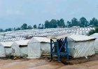 Bunia : les déplacés du site Kigonze réclament une intervention sanitaire urgente après plusieurs décès