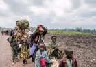Ituri-Mambasa : la présence de présumée Maï-Maï provoque le déplacement massif des habitants de Tepe