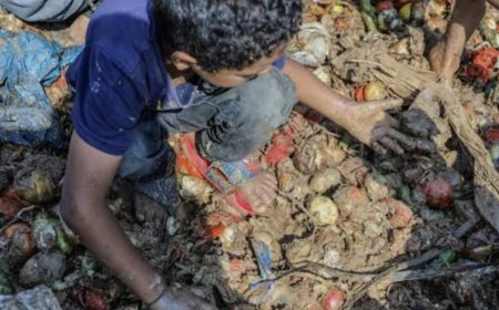 Urgence sanitaire mondiale : l’OMS alerte sur le fléau silencieux des aliments insalubres