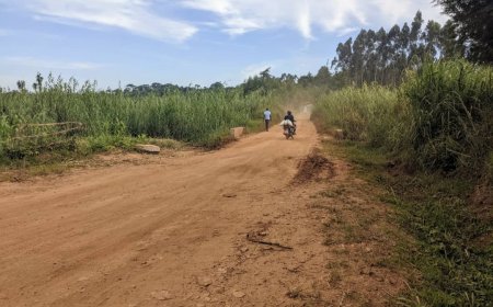 Infrastructures routières en Chefferie de Djukoth à Mahagi : La Société Civile Alerte sur des Irrégularités Majeures dans le Recrutement du Projet STAR RDC