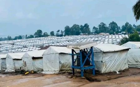 Bunia : les déplacés du site Kigonze réclament une intervention sanitaire urgente après plusieurs décès