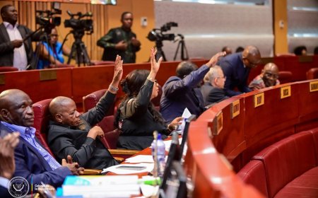 RDC : la loi sur le référendum adoptée malgré le boycott des sénateurs de l’opposition