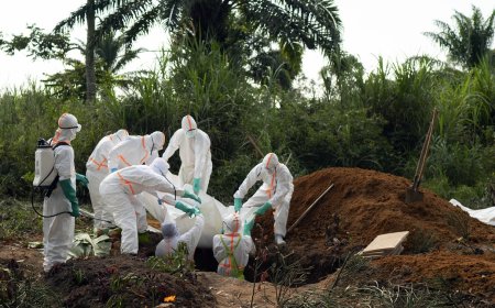 Ebola en Ituri : la MONUSCO déplore le décès d’un sous-traitant à Bunia