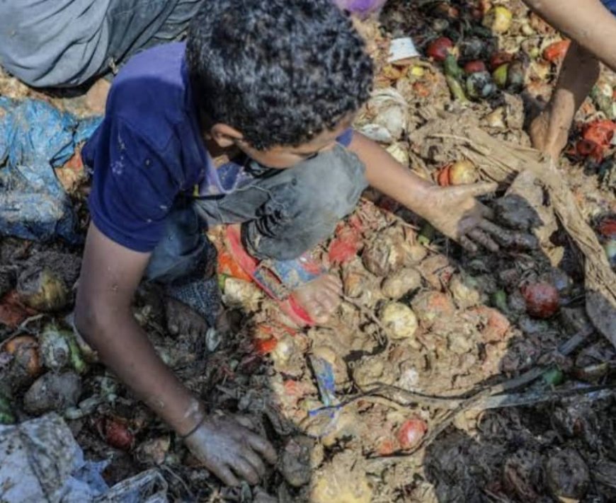 Urgence sanitaire mondiale : l’OMS alerte sur le fléau silencieux des aliments insalubres