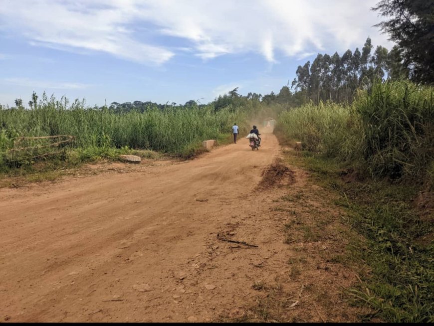 Infrastructures routières en Chefferie de Djukoth à Mahagi : La Société Civile Alerte sur des Irrégularités Majeures dans le Recrutement du Projet STAR RDC