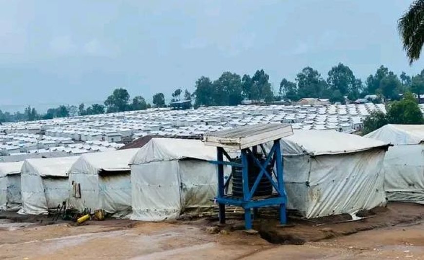 Bunia : les déplacés du site Kigonze réclament une intervention sanitaire urgente après plusieurs décès