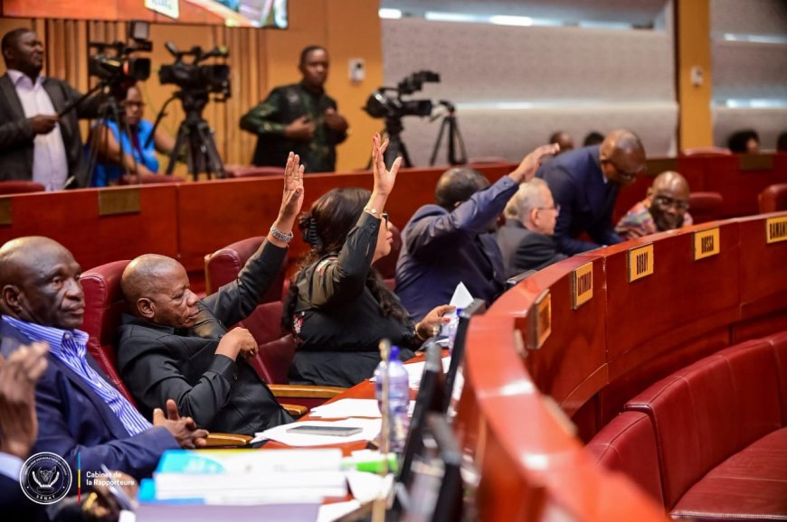 RDC : la loi sur le référendum adoptée malgré le boycott des sénateurs de l’opposition