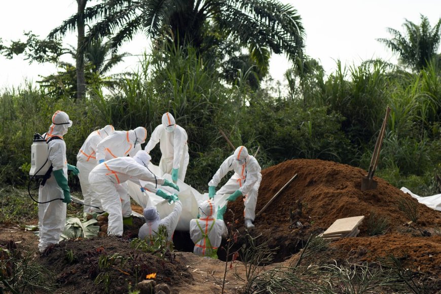 Ebola en Ituri : la MONUSCO déplore le décès d’un sous-traitant à Bunia