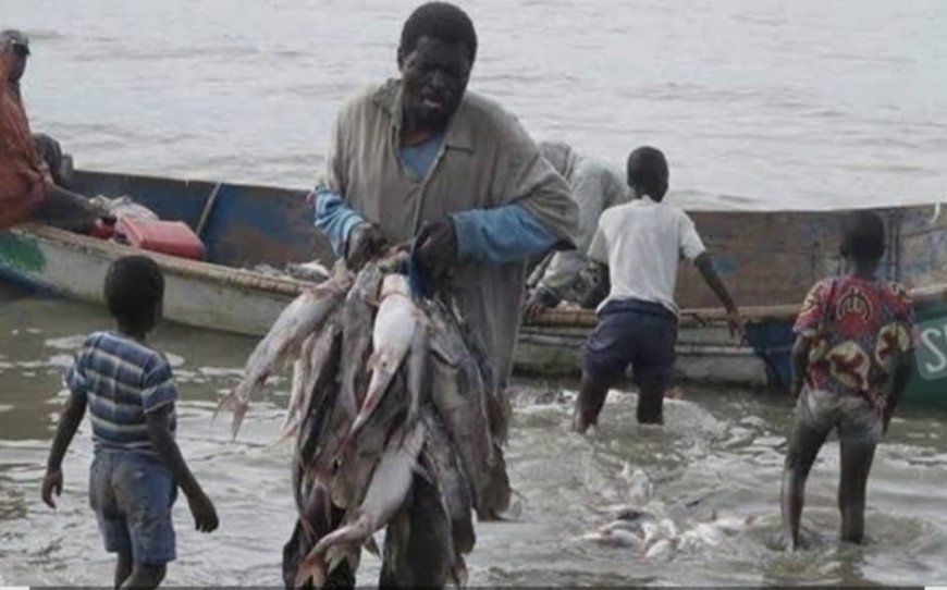 Journée nationale du poisson : cri d'alarme à Mahagi face à l'effondrement de la biodiversitédu lac Albert et à la crise de l'économie bleue