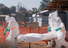Face aux spectres des épidémies : Et si la clé du succès contre Ebola résidait dans l’acier et le béton ?